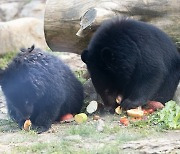 사육곰 보호시설 건립·동물원 허가제로..올해 추진되는 환경정책은?