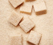백설탕 대신 벌꿀·흑설탕? '설탕' 오해와 진실