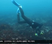 [여기는 포항] "고급 특산 어종 생산에 해녀 문화 관광까지"
