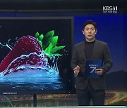 [뉴스픽] '취업보다 창업'·'겨울엔 K-딸기'