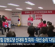 국민의힘 강원도당 선대위 첫 회의..대선 승리 '다짐'