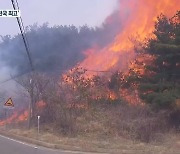 부산, 바짝 마른 대기..산불 위험지수 전국 최고