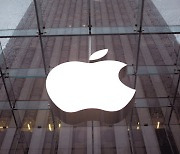 애플코리아 작년 매출 7조1000억원..본사에 9800억원 지급