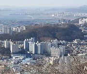 "부산시 공기가 제일 깨끗해"..초미세먼지 기준 첫 준수