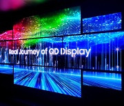 '반값' 된 LCD TV 패널..LG·삼성, OLED에 힘 더 쏟는다