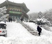 [사진]흰 옷 갈아입은 제주 1100고지