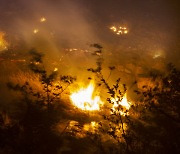 정선 귤암리서 산불..산림당국 진화 중