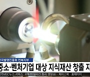 중소·벤처기업 대상 지식재산 창출 지원사업