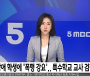 장애 학생에 '폭행 강요' 특수학교 교사 검찰 송치