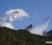 산림청, 산불재난 국가위기경보 '관심' 단계 발령
