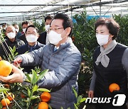 김영록 지사, 광양 아열대 농가 방문