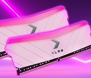 한미마이크로닉스, PNY XLR8 메모리 핑크 색상 출시