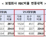 내년 시행 신지급여력제도(K-ICS)..제재는 유예키로