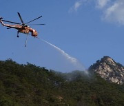 산림청, 산불재난 국가위기경보 '관심' 단계 발령