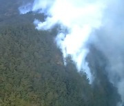 산림청, 산불재난 국가위기경보 '관심'단계 발령