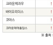 [fnRASSI]오늘의 상한가, 크라운해태홀딩스우 30.0% ↑