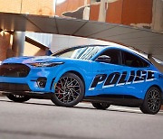 NYPD, 경찰 차량으로 머스탱 마하-E, 모델 3 구매 결정