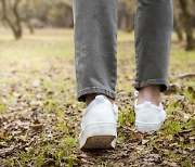 식후 '20분 산책'이 부르는 건강 효과