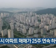 세종시 아파트 매매가 25주 연속 하락