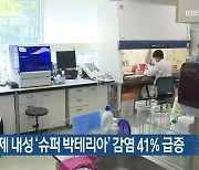 대전서 항생제 내성 '슈퍼 박테리아' 감염 41% 급증