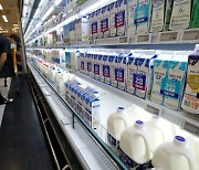 비싸도 너무 비싼 한국 우유.."안되겠다" 특단의 조치 [강진규의 농식품+]