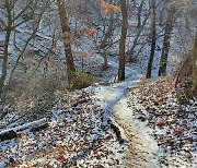 [포토친구] 눈 쌓인 산길