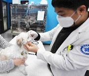 중랑구, '24시간' 유기동물 응급진료병원 운영한다