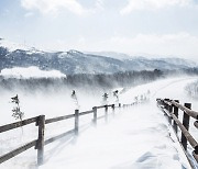 TOUR LIST | 대관령 목장의 겨울 풍경.. 이번 겨울엔 눈 보러 목장 간다