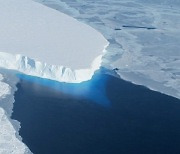 녹으면 지구 종말이라는 남극 빙하, 붕괴 막는 '반전' 있었다