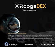 탈중앙화거래소 XRdoge, 2021년 연간 보고서 발표