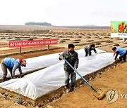 북한, 식량문제 사활 걸고 곡물생산 방안 '골몰'