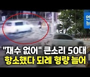 [영상] 횡단보도서 사람 치고도 "어휴, 재수 없어서"..징역 3→4년