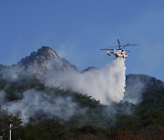 산불재난 국가 위기경보 '관심' 단계 발령..1월 산불 급증세