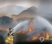 경북 구미 야산에 불..0.2㏊ 태워
