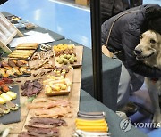 '맛있는 간식 사주세요'