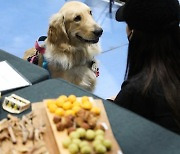 '맛있는 간식 사주세요'