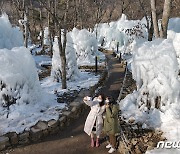[오늘의 날씨] 대전·충남(15일, 토)..아침 영하권 추위, 낮 5~7도