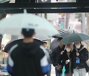 [오늘의 날씨]제주(15일, 토)..오후부터 빗방울, 낮 최고 11도