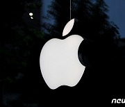 한국 이어 두번째..애플, 네덜란드 데이팅앱에 외부결제 허용