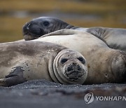 ANTARCTICA SCIENCE