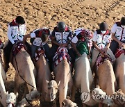 UAE NATIONAL DAY CAMEL MARATHON