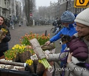 Virus Outbreak Netherlands Tulips For Amsterdam