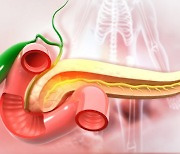생존율 최하 췌장암, '이것' 신호 살펴야