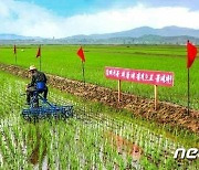 각지 농사 경험 공유하는 북한 노동자들