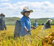 북한, 농업 근로자들에 "쌀독 책임진 사명과 본분"