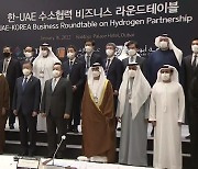 산유국도 탈석유 바람..'한-UAE 수소 협력' 강화