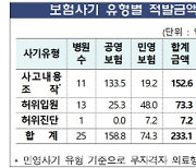 보험사기 범정부대책기구 뜬다