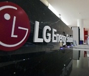 돈 흐름 바꾸는 LG엔솔.."개인·기관 IPO 올인"