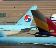 '마일리지' 사용처 확대하는 대한항공·아시아나, 이유는?