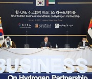 한 · UAE 수소 경제 민관 한자리에.."첫 실질적 파트너"